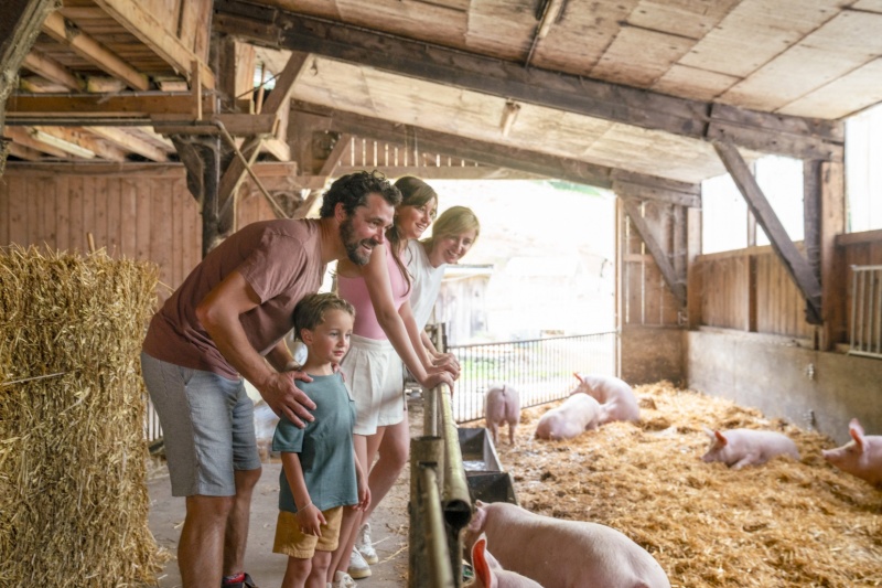 FERME_2024_MMV_SAMOENS_DSC08951©INTERAVIEW.jpg