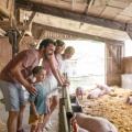 FERME 2024 MMV SAMOENS DSC08951©INTERAVIEW