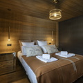 5P11 CABINE  TERRESENS 103-EclatDesVeriaz J101-Megeve©ManuReyboz