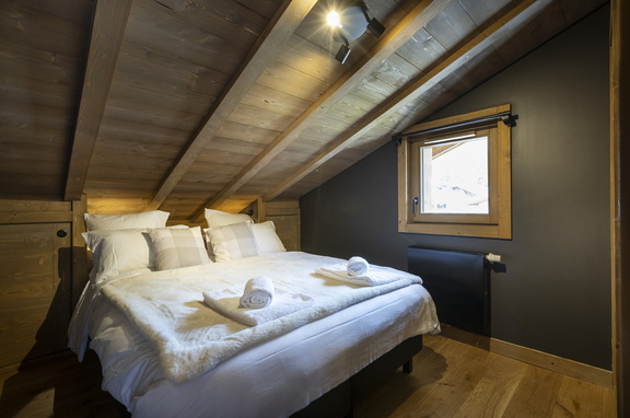 5P11 CABINE  TERRESENS 107-EclatDesVeriaz J101-Megeve©ManuReyboz