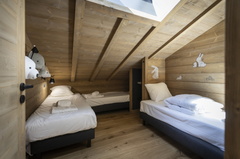 5P11 CABINE  TERRESENS 109-EclatDesVeriaz J101-Megeve©ManuReyboz