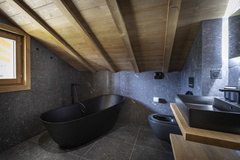 5P11 CABINE  TERRESENS 113-EclatDesVeriaz J101-Megeve©ManuReyboz