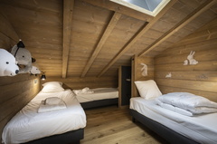 5P11 CABINE  TERRESENS 128-EclatDesVeriaz J101-Megeve©ManuReyboz