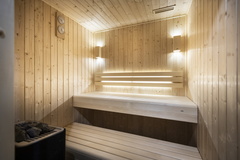 5P11 CABINE  TERRESENS 133-EclatDesVeriaz J101-Megeve©ManuReyboz