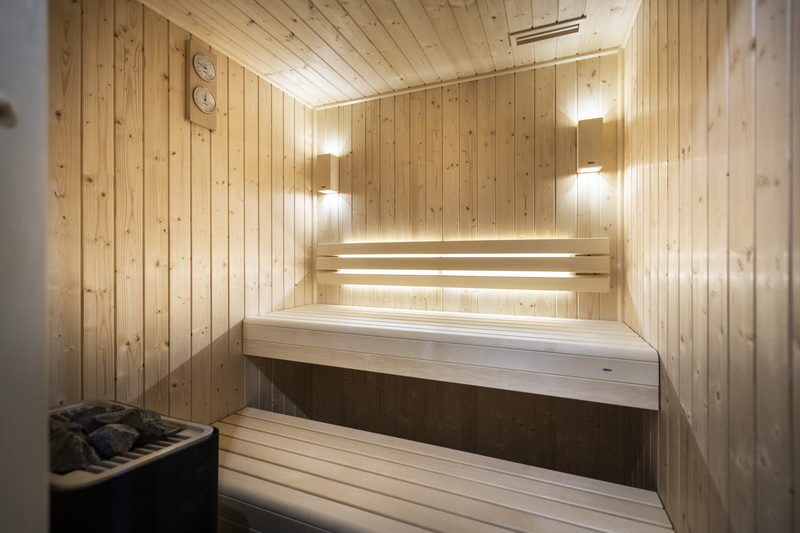 5P11 CABINE  TERRESENS 133-EclatDesVeriaz J101-Megeve©ManuReyboz