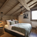 6P12 PREMIUM  TERRESENS 040-EclatDesVeriaz A301-Megeve©ManuReyboz