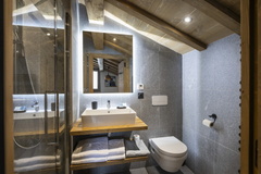 6P12 PREMIUM  TERRESENS 042-EclatDesVeriaz A301-Megeve©ManuReyboz