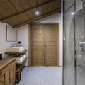 6P12 PREMIUM  TERRESENS 062-EclatDesVeriaz A301-Megeve©ManuReyboz