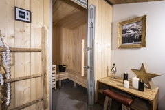 6P12 PREMIUM  TERRESENS 066-EclatDesVeriaz A301-Megeve©ManuReyboz