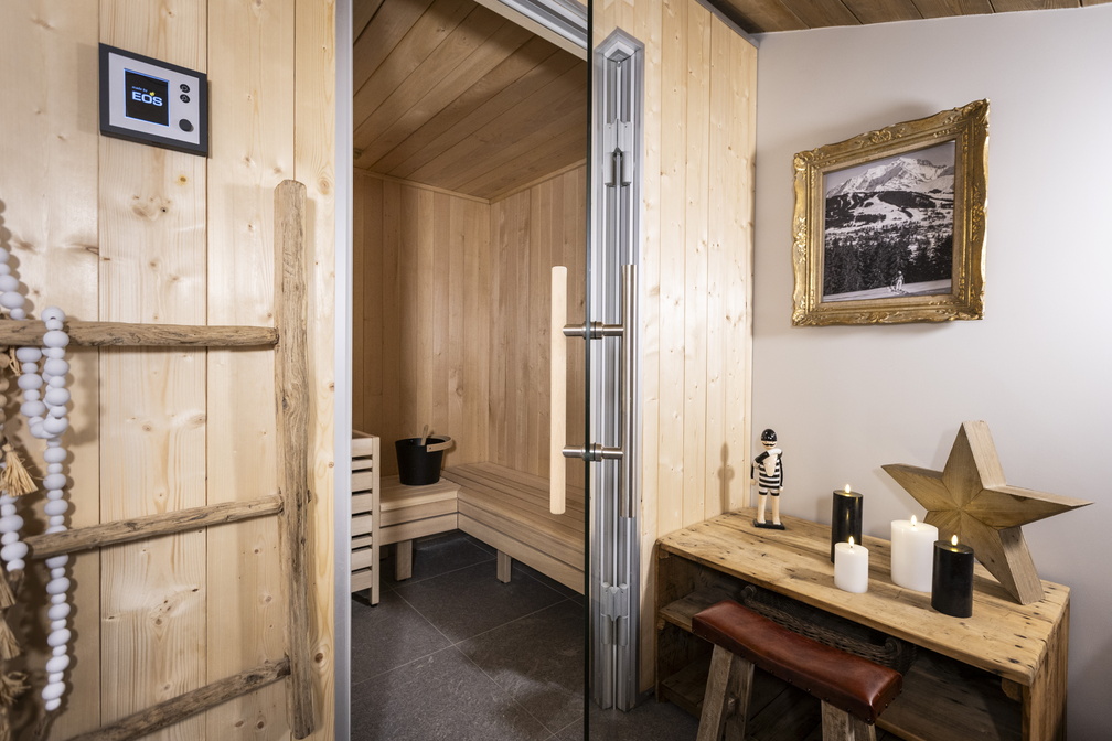 6P12 PREMIUM  TERRESENS 066-EclatDesVeriaz A301-Megeve©ManuReyboz