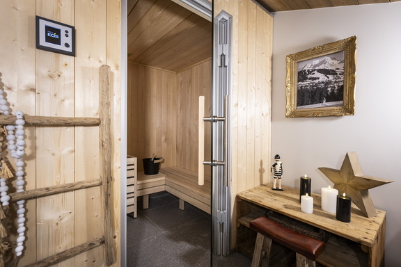 6P12 PREMIUM  TERRESENS 066-EclatDesVeriaz A301-Megeve©ManuReyboz