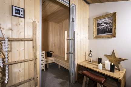6P12 PREMIUM  TERRESENS 066-EclatDesVeriaz A301-Megeve©ManuReyboz