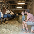 MMV 161 SAMOENS-VILLAGE E GL 1 ETAB 1-90 E23 ©Interaview